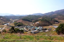 반곡지(盤曲池)의 춘경(春景) 경산시 남산면 반곡리 - 2024.04.02 - 일반 게시판 - 대륜고등학교 제25회(통합49회) 동기회 반곡지(盤曲池)의... 