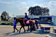 제주(濟州) 남원 편백, 토종 흑염소목장 (扁柏, 土種 黑염소牧場) 과 조천 탐라 (耽羅) 승마장(乘馬場) - 04.15 - 일반 게시판 - 대륜고등학교... 