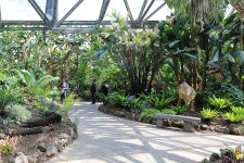 3.제주(濟州) 서귀포시 색달동 여미지식물원 (如美地植物園)... 제주(濟州) 서귀포시 색달동 여미지식물원 (如美地植物園) - 2025.04.16 
