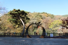 구례(求禮) 천은사(泉隱寺) 전라남도 구례군 광의면 방광리 – 2025.11.16 - 일반 게시판 - 대륜고등학교 제25회(통합49회) 동기회 구례(求禮) 