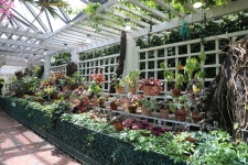 04.16 - 일반 게시판 - 대륜고등학교 제25회(통합49회) 동기회 3.제주(濟州) 서귀포시 색달동 여미지식물원 (如美地植物園) - 2025.04.16 