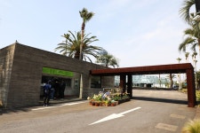 04.16 - 일반 게시판 - 대륜고등학교 제25회(통합49회) 동기회 3.제주(濟州) 서귀포시 색달동 여미지식물원 (如美地植物園) - 2025.04.16 