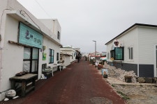 7.제주(濟州) 서귀포시 대정읍 가파도 (加派島) ② - 2025.04.17 - 일반 게시판 - 대륜고등학교 제25회(통합49회) 동기회 7.제주(濟州)... 