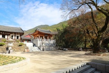 구례(求禮) 천은사(泉隱寺) 전라남도 구례군 광의면 방광리 – 2025.11.16 - 일반 게시판 - 대륜고등학교 제25회(통합49회) 동기회 구례(求禮) 
