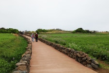 7.제주(濟州) 서귀포시 대정읍 가파도 (加派島) ② - 2025.04.17 - 일반 게시판 - 대륜고등학교 제25회(통합49회) 동기회 7.제주(濟州)... 