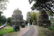 18.제주(濟州) 서귀포시 표선면 제주(濟州) 허브 동산(東山) - 2025.04.18 - 일반 게시판 - 대륜고등학교 제25회(통합49회) 동기회 18.제주... 