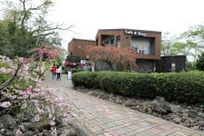 20.제주(濟州) 서귀포시 안덕면 카멜리아힐 (Camelliahill) ② - 2025.04.19 - 일반 게시판 - 대륜고등학교 제25회(통합49회) 동기회... 