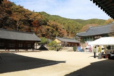구례(求禮) 천은사(泉隱寺) 전라남도 구례군 광의면 방광리 – 2025.11.16 - 일반 게시판 - 대륜고등학교 제25회(통합49회) 동기회 구례(求禮) 