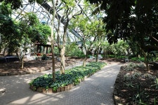 04.16 - 일반 게시판 - 대륜고등학교 제25회(통합49회) 동기회 3.제주(濟州) 서귀포시 색달동 여미지식물원 (如美地植物園) - 2025.04.16 