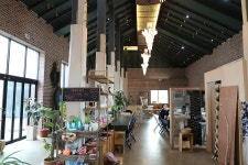 18.제주(濟州) 서귀포시 표선면 제주(濟州) 허브 동산(東山) - 2025.04.18 - 일반 게시판 - 대륜고등학교 제25회(통합49회) 동기회 18.제주... 