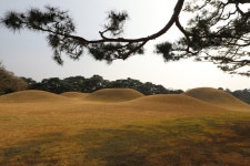 경주(慶州)한바퀴 불국사(佛國寺), 기림사(祇林寺), 오릉(五陵)... 경주(慶州)한바퀴 불국사(佛國寺), 기림사(祇林寺), 오릉(五陵) - 2026.03.29 