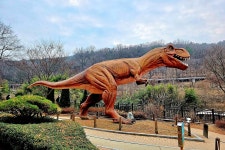 고산골 트래킹 송년행사 - 2025.12.20 - 2025년 동기회 활동 - 대륜고등학교 제25회(통합49회) 동기회 달서구 동기 2025년(을사년) 