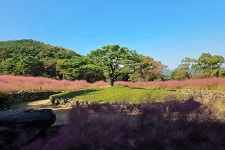 경상북도 칠곡군 가산면 학하리 “가산수피아 (架山SUPIA)”- 2025.11.02 - 일반 게시판 - 대륜고등학교 제25회(통합49회) 동기회... 