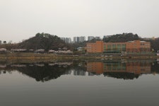 04.01 - 일반 게시판 - 대륜고등학교 제25회(통합49회) 동기회 대구 동구 동촌(東村) 아양교(峨洋橋)의 봄(春) - 2026.04.01