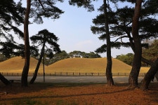 경주(慶州)한바퀴 불국사(佛國寺), 기림사(祇林寺), 오릉(五陵) - 2026.03.29 - 일반 게시판 - 대륜고등학교 제25회(통합49회) 동기회 경주... 