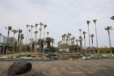 3.제주(濟州) 서귀포시 색달동 여미지식물원 (如美地植物園) - 2025.04.16 - 일반 게시판 - 대륜고등학교 제25회(통합49회) 동기회 3.제주... 