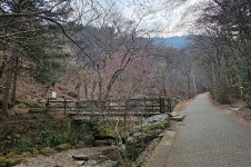고산골 트래킹 송년행사 - 2025.12.20 - 2025년 동기회 활동 - 대륜고등학교 제25회(통합49회) 동기회 달서구 동기 2025년(을사년) 