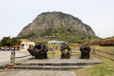 2.제주(濟州) 서귀포시 안덕면 용(龍)머리 해안 (海岸) - 2025.04.15 - 일반 게시판 - 대륜고등학교 제25회(통합49회) 동기회 2.제주(濟州)... 