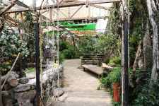 13.제주(濟州) 서귀포시 하례로 쇠소깍 산물 관광농원(觀光農園) - 2025.04.18 - 일반 게시판 - 대륜고등학교 제25회(통합49회) 동기회 13.... 