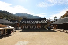 구례(求禮) 천은사(泉隱寺) 전라남도 구례군 광의면 방광리 – 2025.11.16 - 일반 게시판 - 대륜고등학교 제25회(통합49회) 동기회 구례(求禮) 