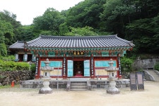 경상남도 하동군 화계면 운수리 쌍계사 (雙磎寺) 1  - 2026.06.27 - 일반 게시판 - 대륜고등학교 제25회(통합49회) 동기회 경상남도 하동군... 