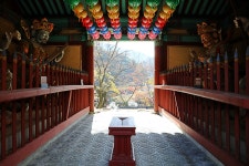 구례(求禮) 천은사(泉隱寺) 전라남도 구례군 광의면 방광리 – 2025.11.16 - 일반 게시판 - 대륜고등학교 제25회(통합49회) 동기회 구례(求禮) 