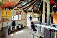 제주(濟州) 남원 편백, 토종 흑염소목장 (扁柏, 土種 黑염소牧場) 과... 제주(濟州) 남원 편백, 토종 흑염소목장 (扁柏, 土種 黑염소牧場)... 