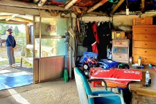 제주(濟州) 남원 편백, 토종 흑염소목장 (扁柏, 土種 黑염소牧場) 과... 제주(濟州) 남원 편백, 토종 흑염소목장 (扁柏, 土種 黑염소牧場)... 