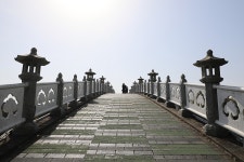 04.16 - 일반 게시판 - 대륜고등학교 제25회(통합49회) 동기회 4.제주(濟州) 서귀포시 중문동 천제연 폭포 (天帝淵 瀑布) -2025.04.16