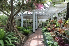 04.16 - 일반 게시판 - 대륜고등학교 제25회(통합49회) 동기회 3.제주(濟州) 서귀포시 색달동 여미지식물원 (如美地植物園) - 2025.04.16 