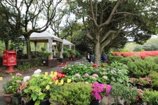 20.제주(濟州) 서귀포시 안덕면 카멜리아힐 (Camelliahill) ② - 2025.04.19 - 일반 게시판 - 대륜고등학교 제25회(통합49회) 동기회... 