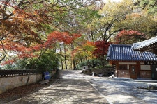 구례(求禮) 천은사(泉隱寺) 전라남도 구례군 광의면 방광리 – 2025.11.16 - 일반 게시판 - 대륜고등학교 제25회(통합49회) 동기회 구례(求禮) 