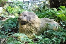 04.16 - 일반 게시판 - 대륜고등학교 제25회(통합49회) 동기회 3.제주(濟州) 서귀포시 색달동 여미지식물원 (如美地植物園) - 2025.04.16 