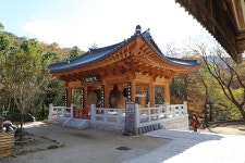구례(求禮) 천은사(泉隱寺) 전라남도 구례군 광의면 방광리 – 2025.11.16 - 일반 게시판 - 대륜고등학교 제25회(통합49회) 동기회 구례(求禮) 