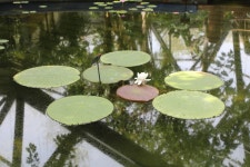 04.16 - 일반 게시판 - 대륜고등학교 제25회(통합49회) 동기회 3.제주(濟州) 서귀포시 색달동 여미지식물원 (如美地植物園) - 2025.04.16 