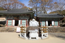 구례(求禮) 천은사(泉隱寺) 전라남도 구례군 광의면 방광리 – 2025.11.16 - 일반 게시판 - 대륜고등학교 제25회(통합49회) 동기회 구례(求禮) 