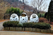 고산골 트래킹 송년행사 - 2025.12.20 - 2025년 동기회 활동 - 대륜고등학교 제25회(통합49회) 동기회 달서구 동기 2025년(을사년) 