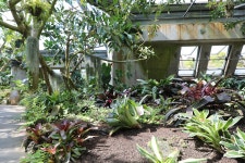 04.16 - 일반 게시판 - 대륜고등학교 제25회(통합49회) 동기회 3.제주(濟州) 서귀포시 색달동 여미지식물원 (如美地植物園) - 2025.04.16 