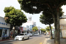 16 - 일반 게시판 - 대륜고등학교 제25회(통합49회) 동기회 5.제주(濟州) 서귀포시 서귀동 서귀포매일 올레시장 (西歸浦每日 올레市場)... 