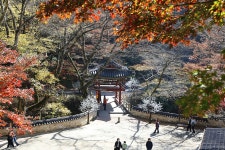 구례(求禮) 천은사(泉隱寺) 전라남도 구례군 광의면 방광리 – 2025.11.16 - 일반 게시판 - 대륜고등학교 제25회(통합49회) 동기회 구례(求禮) 