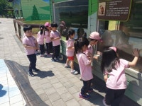 봄소풍-창녕 산토끼 노래동산3 - 창조반 - 진주엔젤유치원　 봄소풍-창녕 산토끼 노래동산3