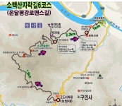 2025년11월 제242차 충북 단양 소백산 자락길 6코스 산행공지(2025.... 제242차 충북 단양 소백산 자락길 6코스 산행공지(2025.11.16)