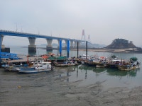 영흥도와 선재도를 이어주는 영흥대교-진두선착장 - ◈─…― 국내 여행기 - 5060 해외여행 영흥도와 선재도를 이어주는 영흥대교-진두선착장