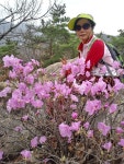 관악산 진달래꽃 - 앨범사진방 - 열자의집 관악산 진달래꽃