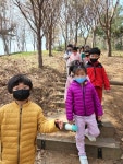 4월 6일 남산으로 진달래꽃을 찾으러 - 열매반 이야기 - 갓골어린이집 4월 6일 남산으로 진달래꽃을 찾으러