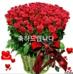 7.23. 사진과 영상 - 경조사(축하외) - 행복충전연구소 사랑하는 손녀 주하보나 생일 축하합니다 2025.7.23. 사진과 영상