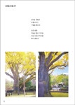 수령 600년 방학동 은행나무(하얀 작) - 후원회원사진집 - 한사영사진여행 수령 600년 방학동 은행나무(하얀 작)