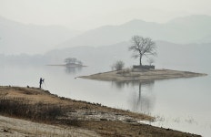 대청호반의 아침소경 - 풍경／식물／흑백／기타 - 한사영사진여행 대청호반의 아침소경