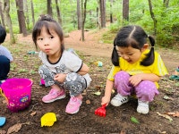 계양산 숲놀이 - ~♡~행복소망앨범 - 인천송현유치원 계양산 숲놀이