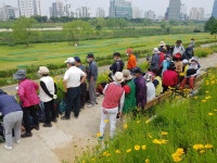 ＜정보＞전국 파크골프장 - 한국파크골프연합회원모집 - 한국파크골프연합회 한국파크골프연합회